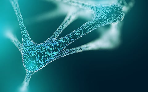 Fulfilling the Promise: Real-World Data and Real-World Evidence in Action